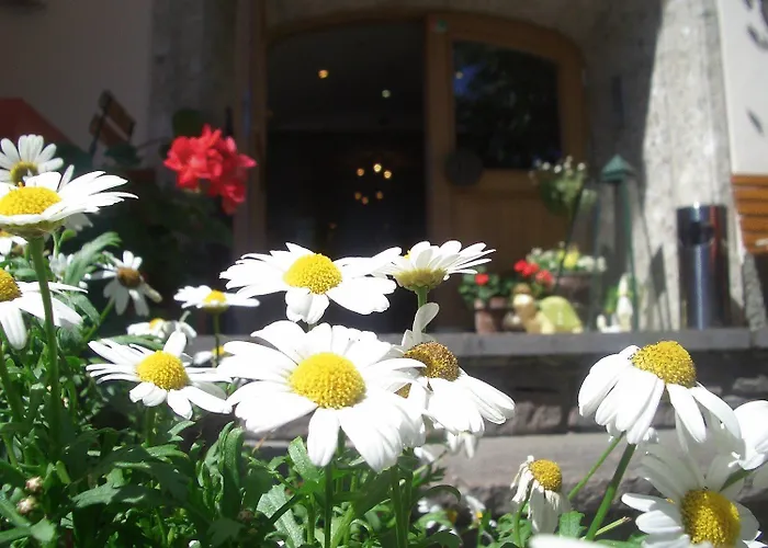 Hotel Weberbauer 3*